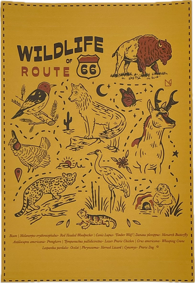 Wildlife Route 66 Print